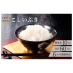 米 R8年産 こしいぶき 10kg