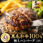 ハンバーグ 120g×5個