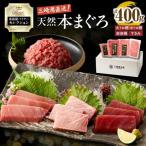 天然 本まぐろ 詰合せ M038-004 冷凍