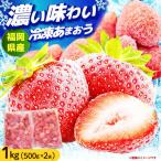 いちご 福岡産 1kg
