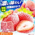 いちご 冷凍 2kg