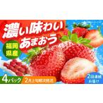 いちご 福岡産 4パック