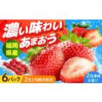 いちご 福岡産 6パック