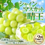 シャインマスカット 晴王 3~6房 計約2kg