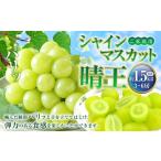 ご シャインマスカット 晴王 3~6房 計約1.5kg