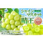 ご シャインマスカット 晴王 約400g×2房