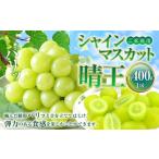 ご シャインマスカット 晴王 約400g×1房