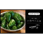 ハラペーニョ 1kg