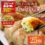 馬渡のもっちり 餃子 肉 小分け 惣菜 25個