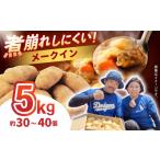 野菜類 じゃがいも ジャガイモ メークイーン 5kg