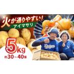野菜類 じゃがいも ジャガイモ あいゆたか 5kg