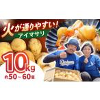 秋の実り詰合せ アイマサリ ニンジン 10kg