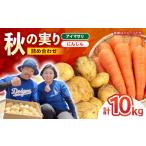 秋の実り詰合せ アイマサリ ニンジン 10kg