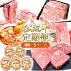 松阪牛 定期便 4ヶ月B A5鉄板 ホルモン