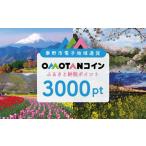 オモタン OMOTAN コイン ポイント3000pt