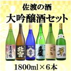 日本酒 大吟醸 1800ml 6本 セット