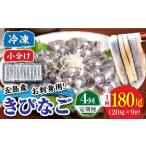 五島産 刺身用きびなご 20尾×9P