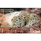 fu.... налог кошка. игрушка актинидия мяч ( актинидия. реальный ввод )3 шт. комплект следы lie... Yamagata префектура Tsuruoka город 