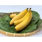 fu.... налог органический местного производства banana [...][A-223] Gifu префектура уезд сверху город 