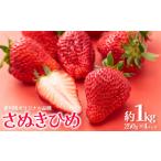 いちご 苺 さぬきひめ 約1kg