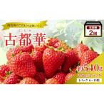 いちご 完熟 古都華