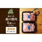 焼肉セット 飛騨 美濃けんとん 豚肉 4種