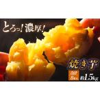 焼き芋 1 5kg