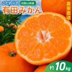 有田みかん 約10kg+150g