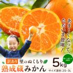 ご 熟成みかん 5kg