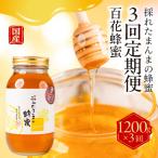百花 1200g×3回定期便