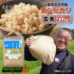 コシヒカリ 精米20kg