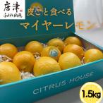 皮ごと食べる マイヤーレモン 1.5kg