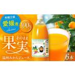 みかんジュース1L×6本セット みかんジュース
