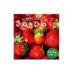2027年発送 いちご さぬきひめ 約1.5kg