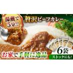 手作りビーフカレー 6食入り