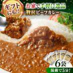 手作りビーフカレー 6食入り