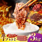 味付けハラミ 3kg