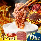 味付けハラミ 6kg