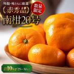 みかん 10kg