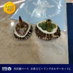 丹沢湖ベース お香立て+リングホルダーセットA