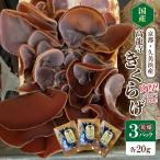 乾燥 20g