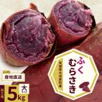 さつまいも 約5kg