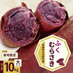 さつまいも 約10kg