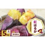 ふるさと納税 さつまいも 約5kg 紅はるか 加工用 大きいサイズ サツマイモ 宮城県産 甘い 秋 冬 スイーツ いも 産地直送 宮城県 大河原町 宮城県大河原町