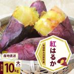 さつまいも 約10kg