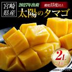 完熟マンゴー 太陽のタマゴ 2L×1玉