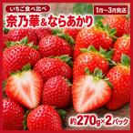イチゴ 奈乃華とならあかりのセットイチゴ 約270g×2パック
