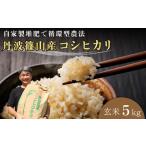 玄米 コシヒカリ 5kg