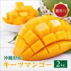 キーツマンゴー2kg