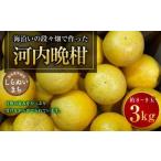 ふるさと納税 熊本県�